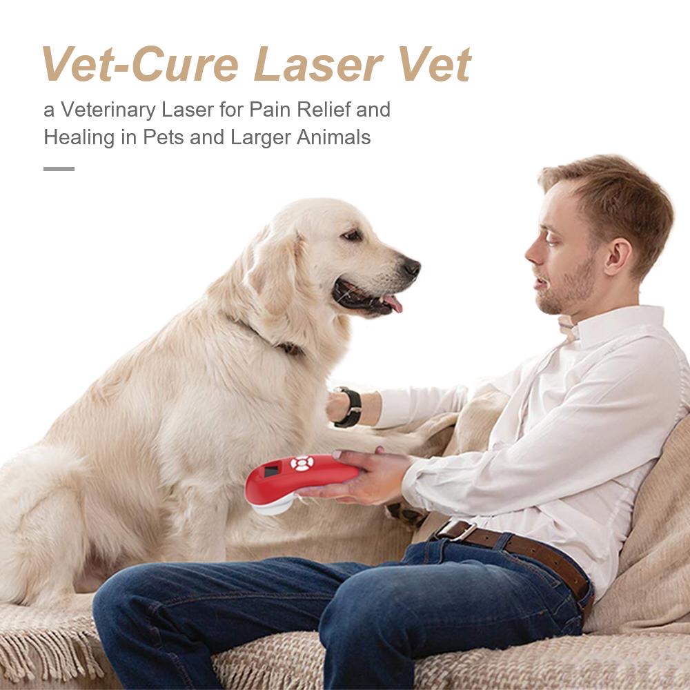 Soft Lasertherapie voor dieren